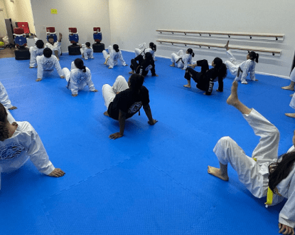 MARTIAL ARTS FOR BEGINNERS