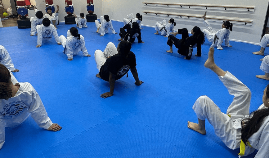 Sae Han Taekwondo Academy