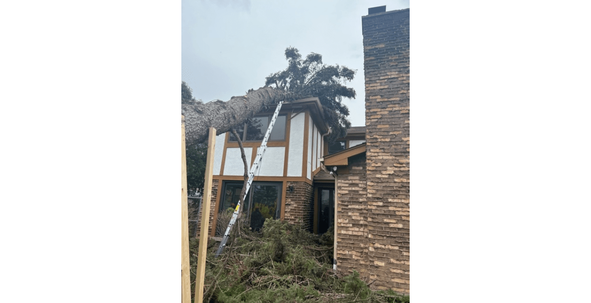 Philip's Tree and Stump Removal Inc.