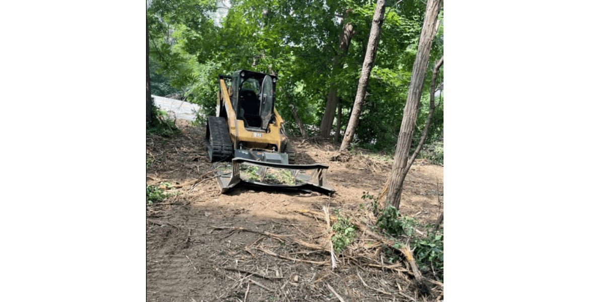 Philip's Tree and Stump Removal Inc.
