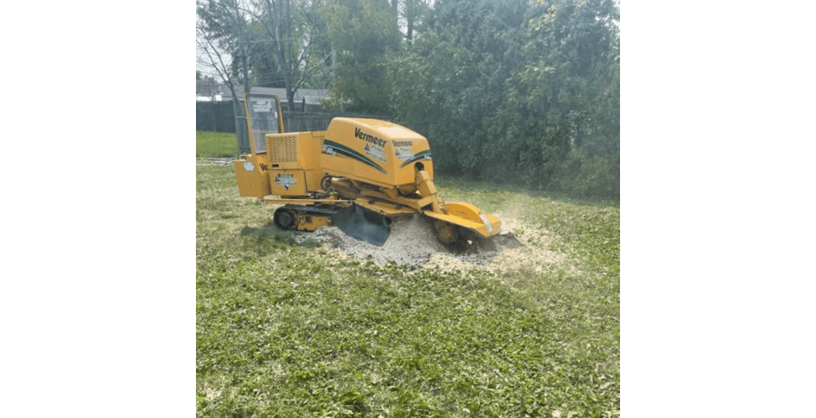Philip's Tree and Stump Removal Inc.