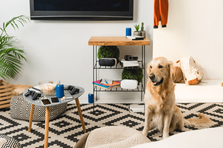 Cozytails Pet And Home Care