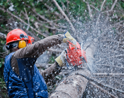 COMMERCIAL TREE SERVICES