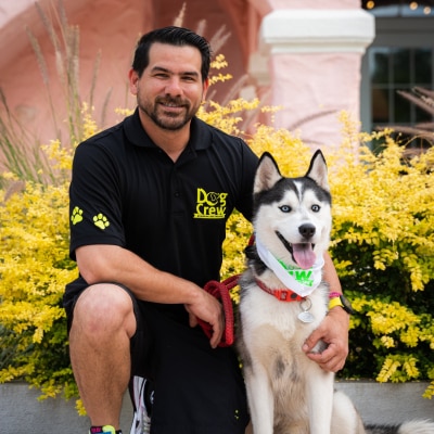 DOG BEHAVIOR MODIFICATION