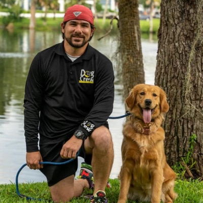 DOG OBEDIENCE TRAINING