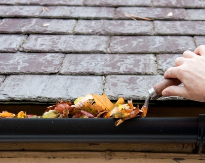 GUTTER CLEANING