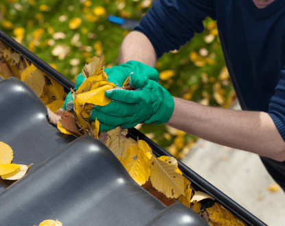GUTTER CLEANING