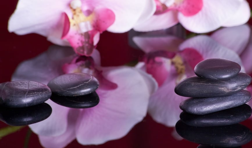 Mind & Body Retreat Center