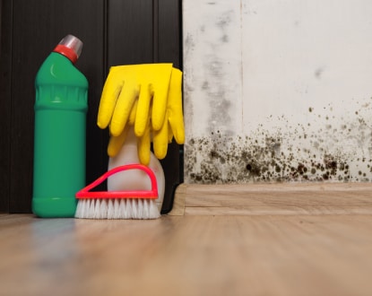 MOLD REMEDIATION