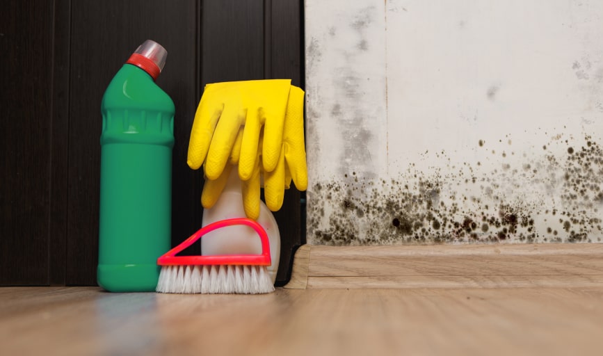 Western Water Restoration