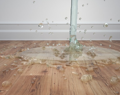 WATER DAMAGE RESTORATION