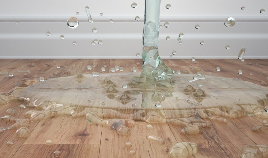 Western Water Restoration