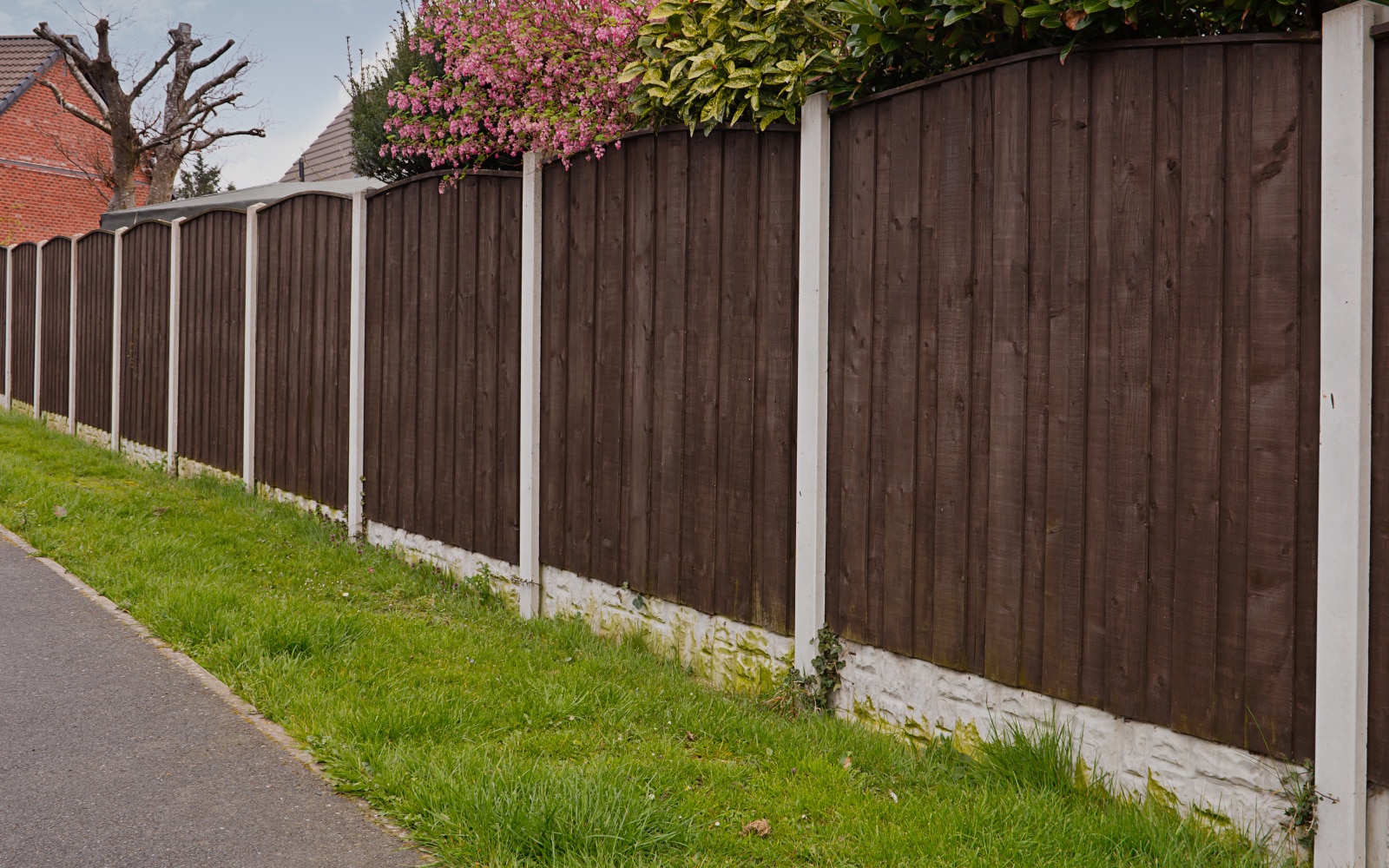 Privacy Fencing