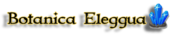 Botanica Eleggua