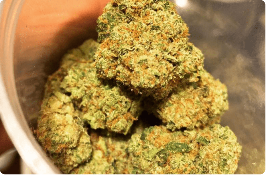 Cannabis Delivery