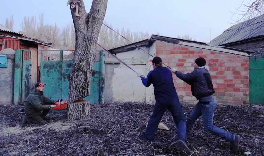 MNM Tree and Shrub Service