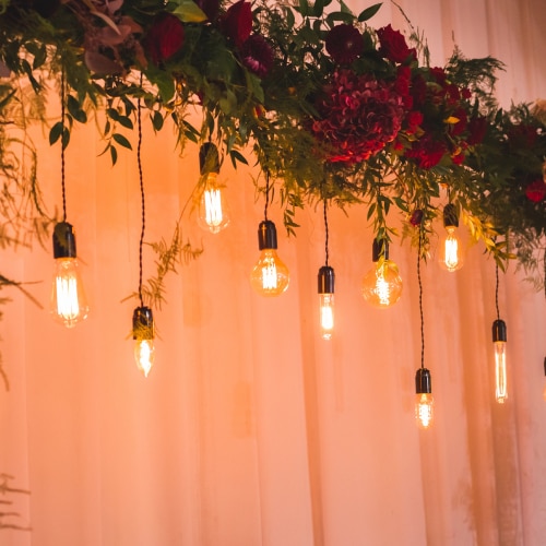 Christmas Light Installation