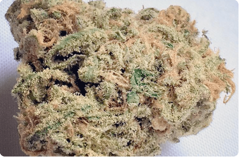 PlugnPlay Cannabis Store 