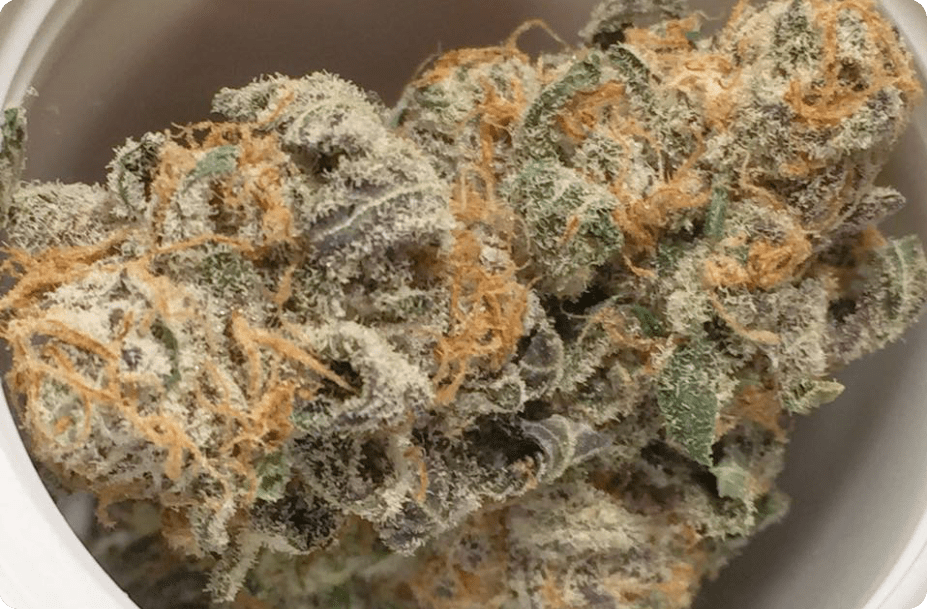 Weed Delivery