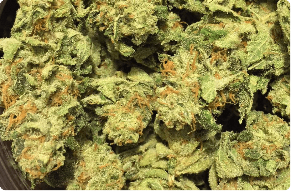 Stiiizy Cannabis Store