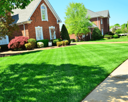 LAWN EDGING