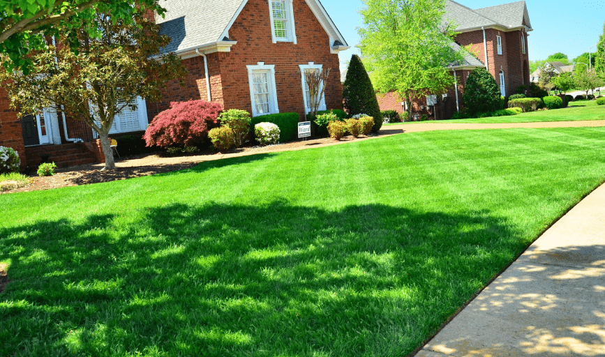 JD'S Handyman Services