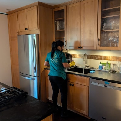 HOUSE CLEANING SERVICES