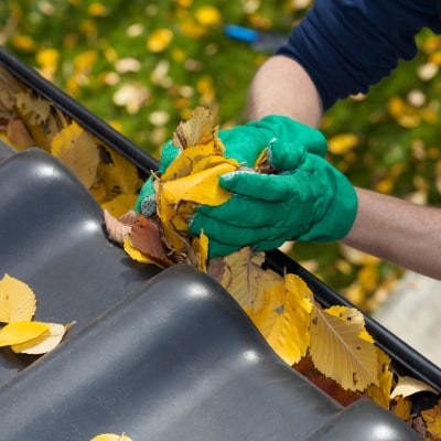 GUTTER CLEANING