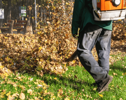 LEAF BLOWING