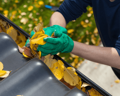 GUTTER CLEANING