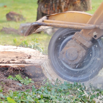 STUMP GRINDING