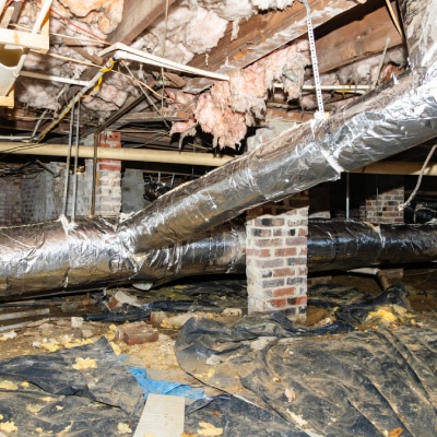 INSULATION REMOVAL