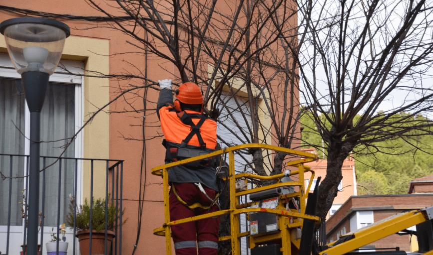 H&H Tree Service