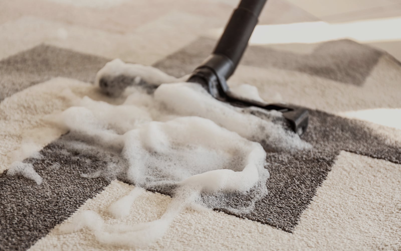 Carpet Shampooing Services