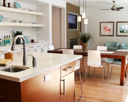 HOME CLEANING SERVICES