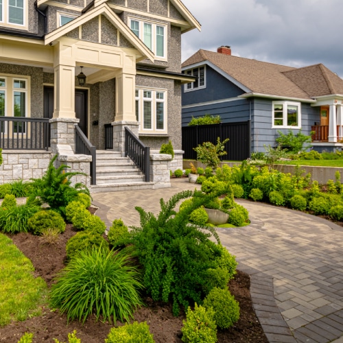 Landscape Remodeling