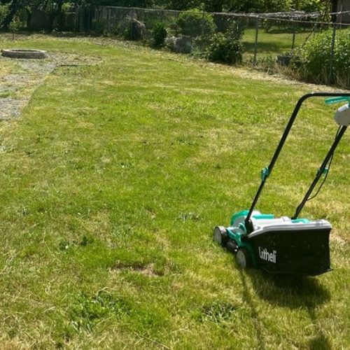 Lawn Maintenance