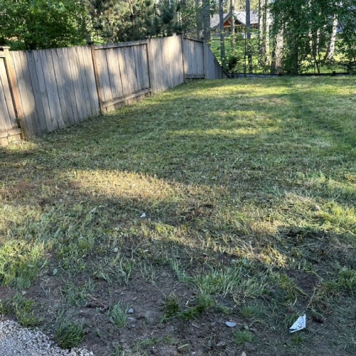 Weed Control