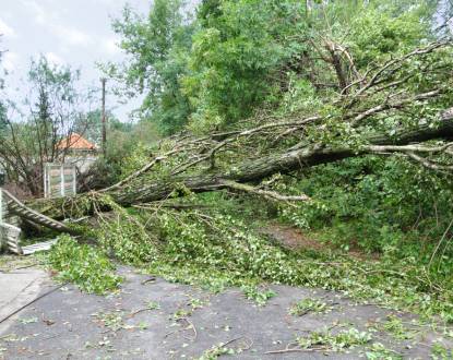 EMERGENCY TREE SERVICE