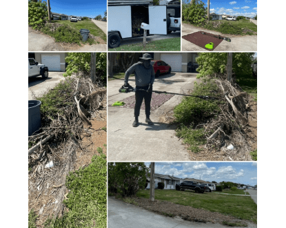 ECO-FRIENDLY YARD CLEAN-UP WITH DEBRIS REMOVAL