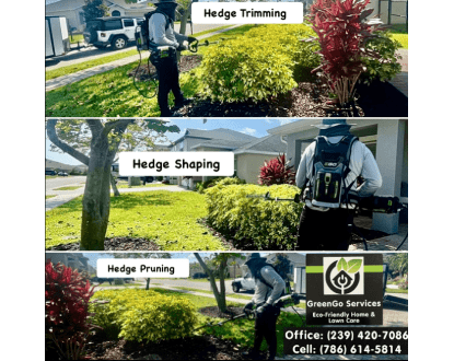 ECO-FRIENDLY HEDGE TRIMMING & PRUNING