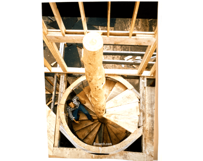 Home Design Consultant