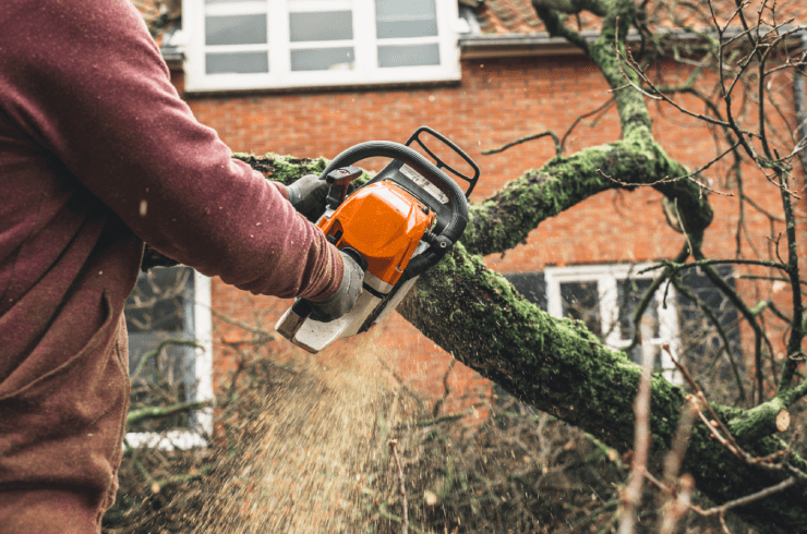 Ram'z Tree Service and More