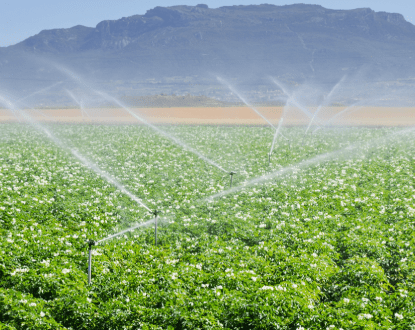IRRIGATION SERVICES