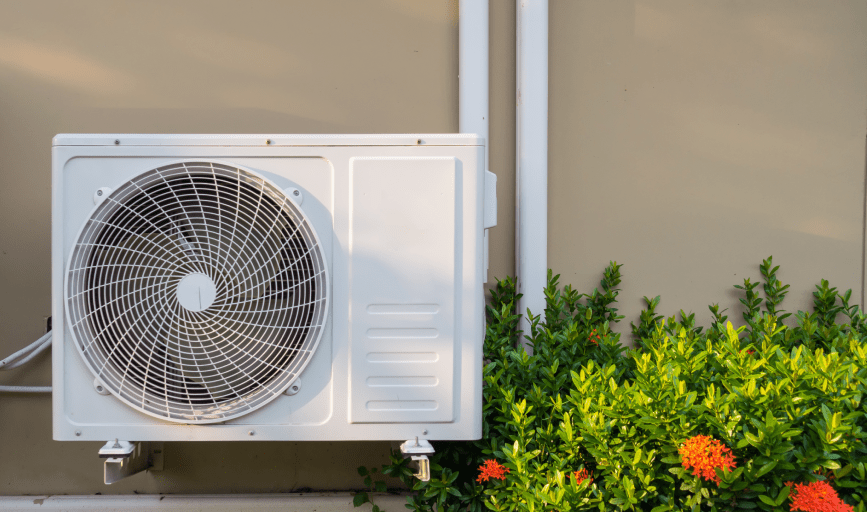 Top Notch Maintenance Services