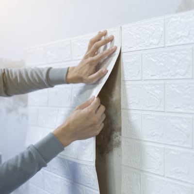 WALL COVERING SERVICES