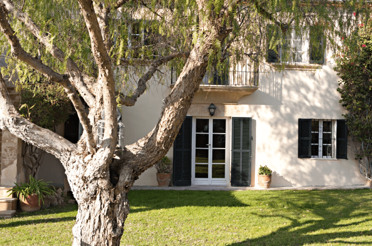 Sam's Expert Tree Service