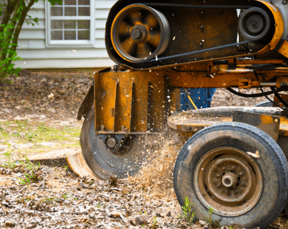 STUMP GRINDING