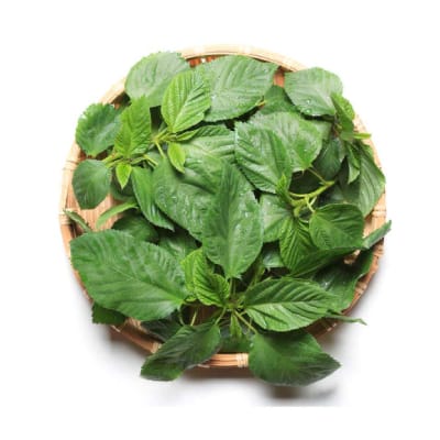 AFRICAN PRODUCE