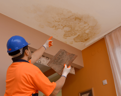 MOLD TESTING & INSPECTION